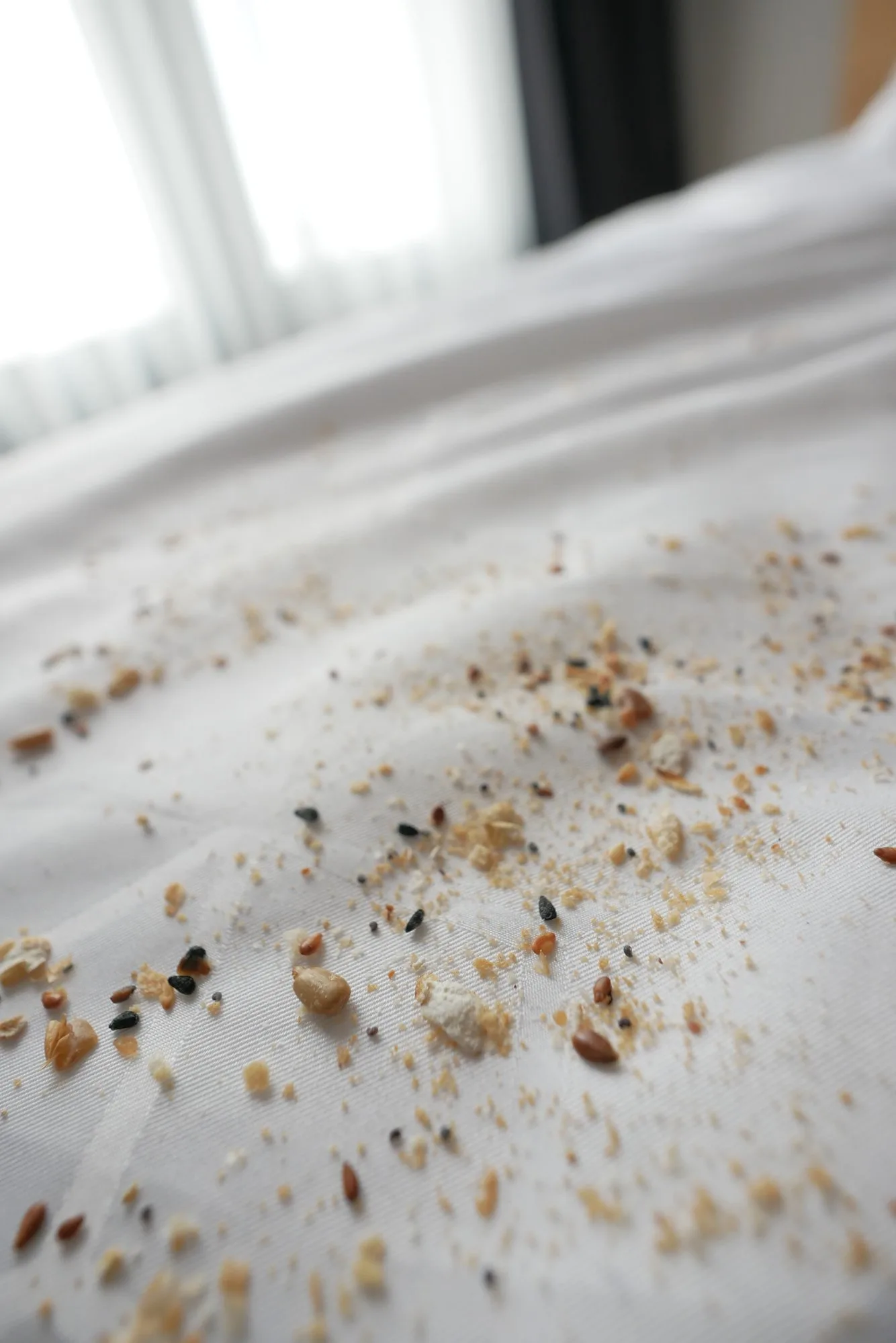 Bed Bug Signs On Pillow To Look Out For An Infestation