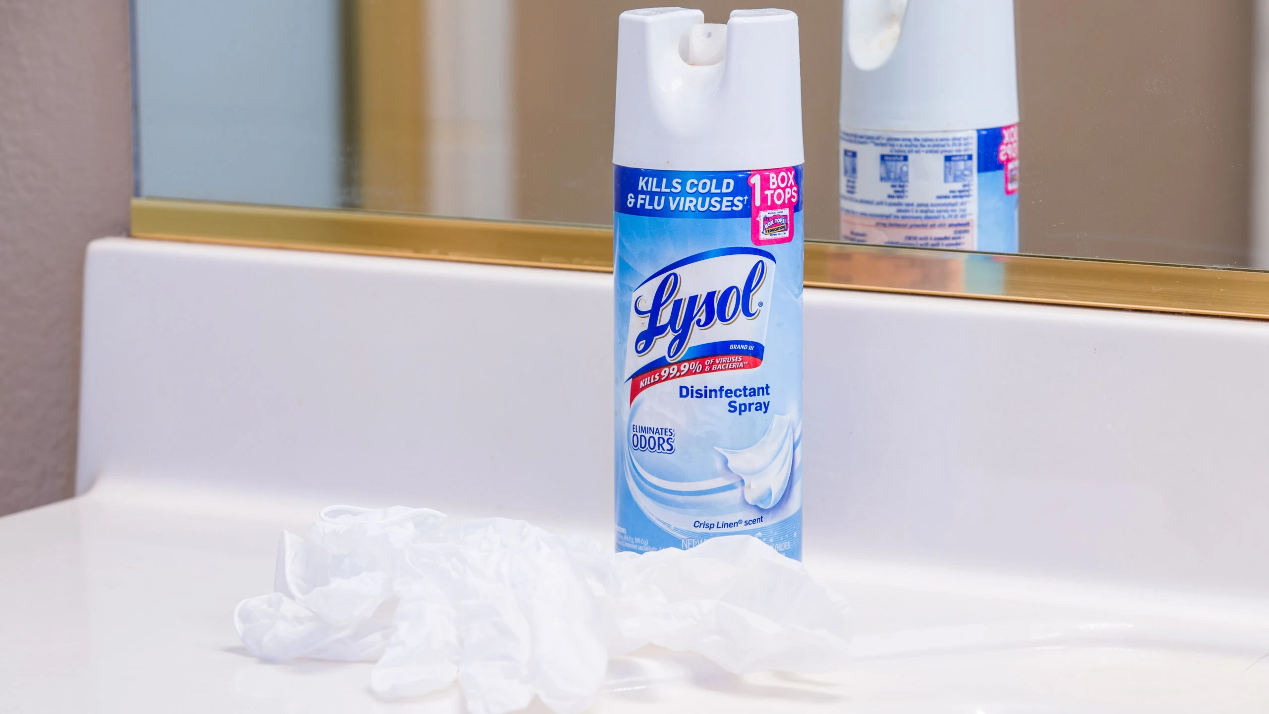 Does Lysol Kill Bed Bugs? [Is It A Waste Of Time?]