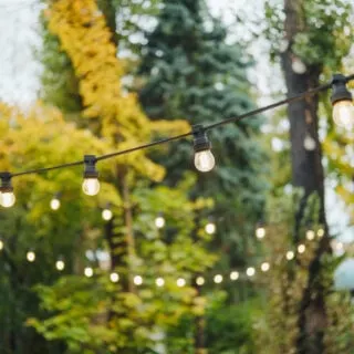 Easy Tricks to Improve Your Gardens Aesthetic