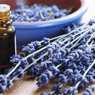 Practical Ways to Reduce Spiders in Your House Without Chemicals